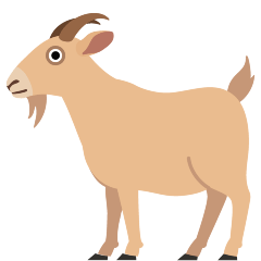 Goat