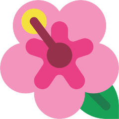 Hibiscus