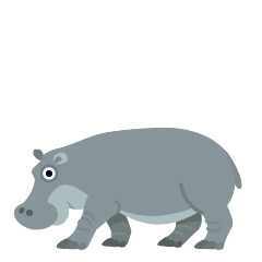 Hippopotamus
