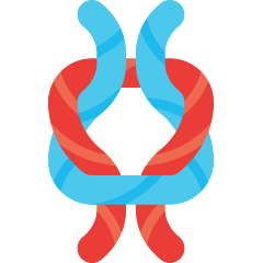 Knot