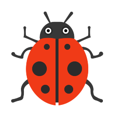 Lady Beetle