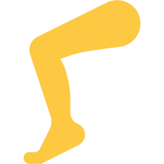 Leg
