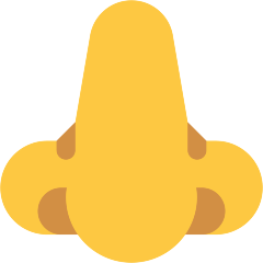 Nose