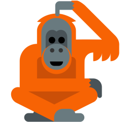 Orangutan