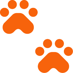 Paw Prints