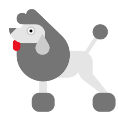 Poodle