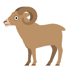 Ram