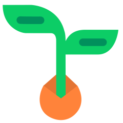 Seedling