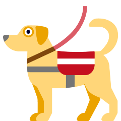 Service Dog