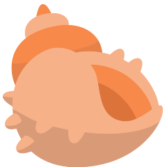 Spiral Shell