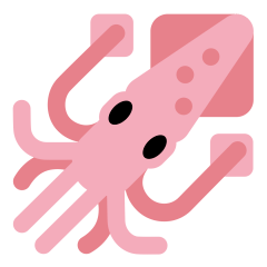 Squid