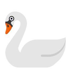 Swan