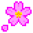 Fleur De Cerisier