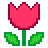 Tulipe