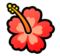 Hibiscus Hibiscus