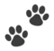 Paw Prints Paw Prints