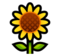 Sunflower Sunflower