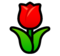 Tulip Tulip