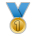 1st Place Medal