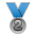 2nd Place Medal