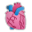 Anatomical Heart