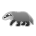 Badger