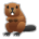 Beaver