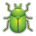 Beetle