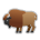 Bison