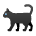 Black Cat