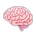 Brain