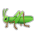 Cricket