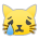Crying Cat