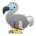 Dodo