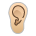 Ear: Medium-Light Skin Tone