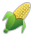 Ear of Corn