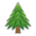 Evergreen Tree