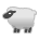 Ewe