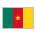 Flag: Cameroon