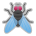 Fly