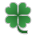Four Leaf Clover