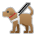 Guide Dog