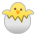 Hatching Chick