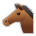 Horse Face