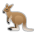 Kangaroo