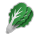 Leafy Green