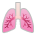Lungs