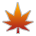 Maple Leaf