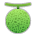 Melon