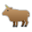 Ox